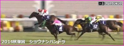 秋華賞 15 データ 前走 で2番人気以下は馬券絡みなし 秋華賞 15 データ 前走 で2番人気以下は馬券絡みなし