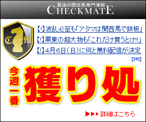 �����å��ᥤ�ȡ������ӡ���CT300X250