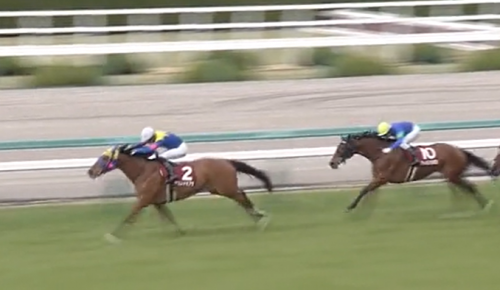 4月10日 騎手 調教師 騎手乗り替わりデータ データ競馬予想 激走 データ競馬 Plus 4月10日 騎手 調教師 騎手乗り替わりデータ データ競馬予想 激走 データ競馬 Plus