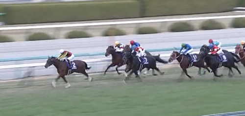 今週の重賞データ分析まとめ 朝日杯fs ターコイズs データ競馬予想 激走 データ競馬 Plus 今週の重賞データ分析まとめ 朝日杯fs ターコイズs データ競馬予想 激走 データ競馬 Plus
