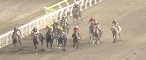 帝王賞　テーオーケインズ