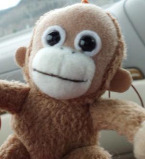 sa_convert_20120508142937