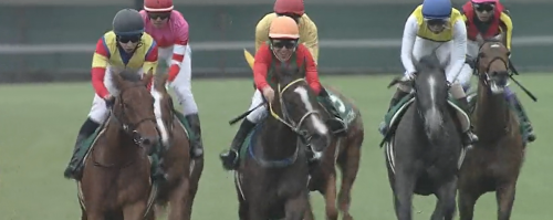 函館2歳S　リンゴアメ