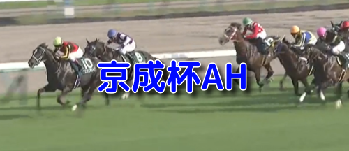 京王杯AH