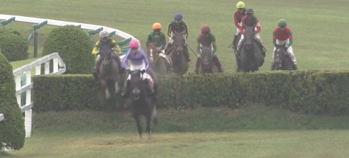 京都ハイジャンプ 過去10年データ傾向 消去法 データ競馬予想 激走 データ競馬 Plus 京都ハイジャンプ 過去10年データ傾向 消去法 データ競馬予想 激走 データ競馬 Plus