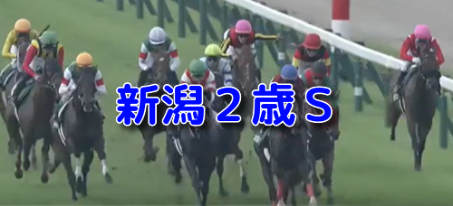 新潟2歳S