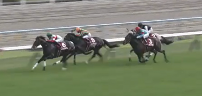 マイラーズC ダノンプレミアム