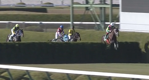 京都ジャンプS　タガノエスプレッソ