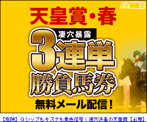 暴露王:天皇賞春300_250