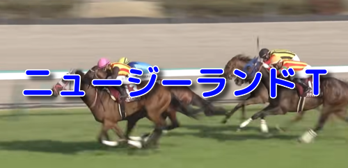 ニュージーランドT