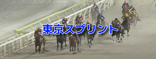 東京スプリント