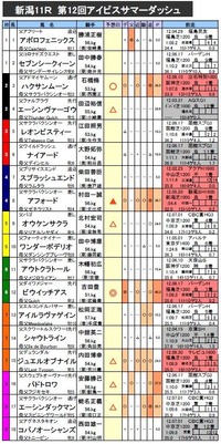 アイビスサマーダッシュ