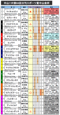 中山金杯 予想
