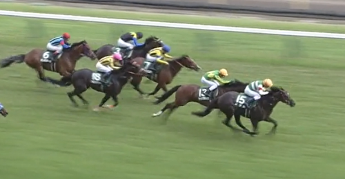 エプソムC　ザダル