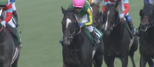 関屋記念 サトノアーサー