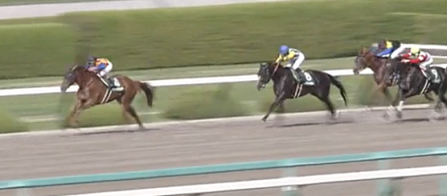 アンタレスS　テーオーケインズ