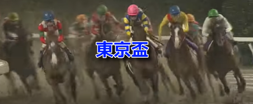 東京盃