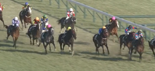 ダイヤモンドS　グロンディオーズ