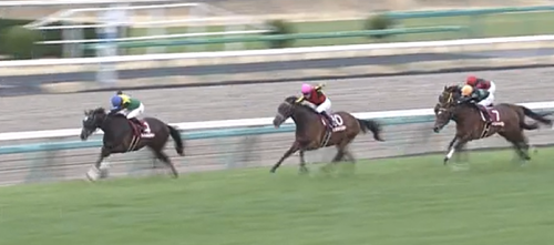 弥生賞　タイトルホルダー