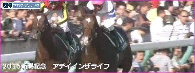 新潟記念 アデイインザライフ