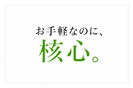 linesenb450