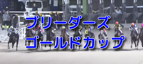 ブリーダーズゴールドカップ