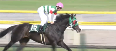 新潟大賞典 メールドグラース
