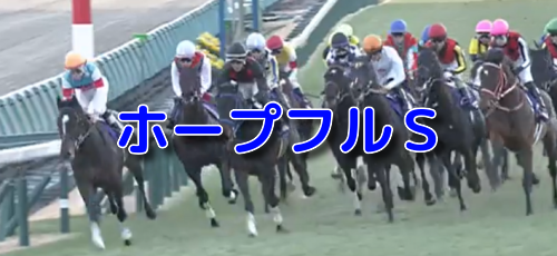 ホープフルS