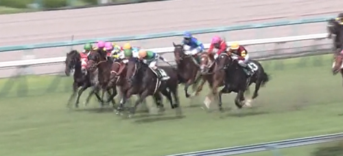 中京記念　メイケイダイハード