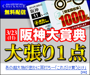 チェックメイト:阪神大賞典300X250