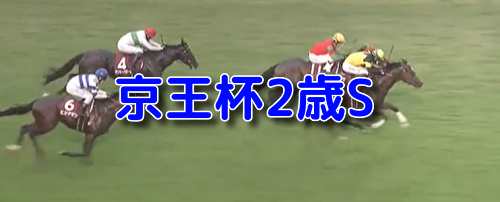 京王杯2歳S