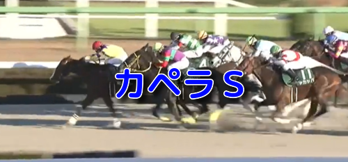 カペラS
