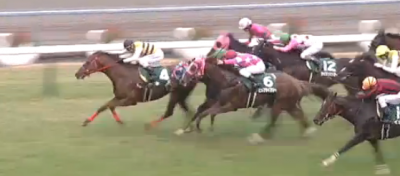 京阪杯 ネロ