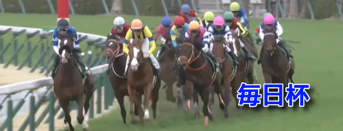 毎日杯