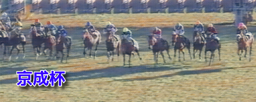 京成杯