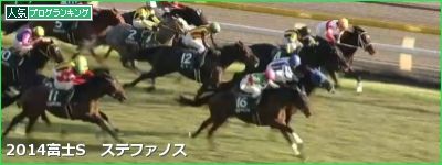 富士S ステファノス