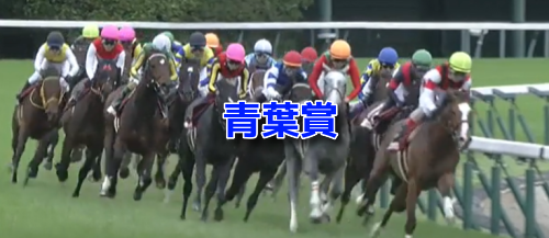 青葉賞