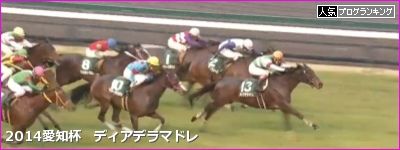 愛知杯 ディアデラマドレ