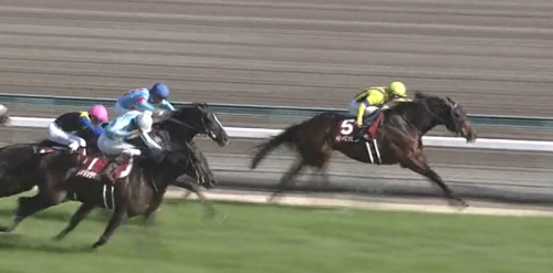 金鯱賞　ギベオン