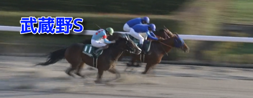 武蔵野S