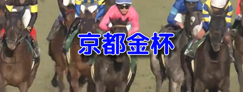 京都金杯
