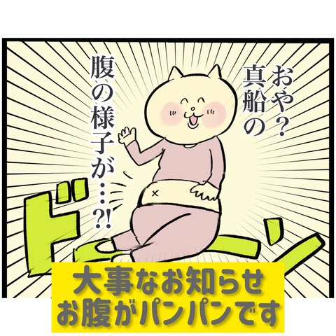 お知らせ お腹がパンパンです テレビマン漫画家 真船佳奈のトラブルdays