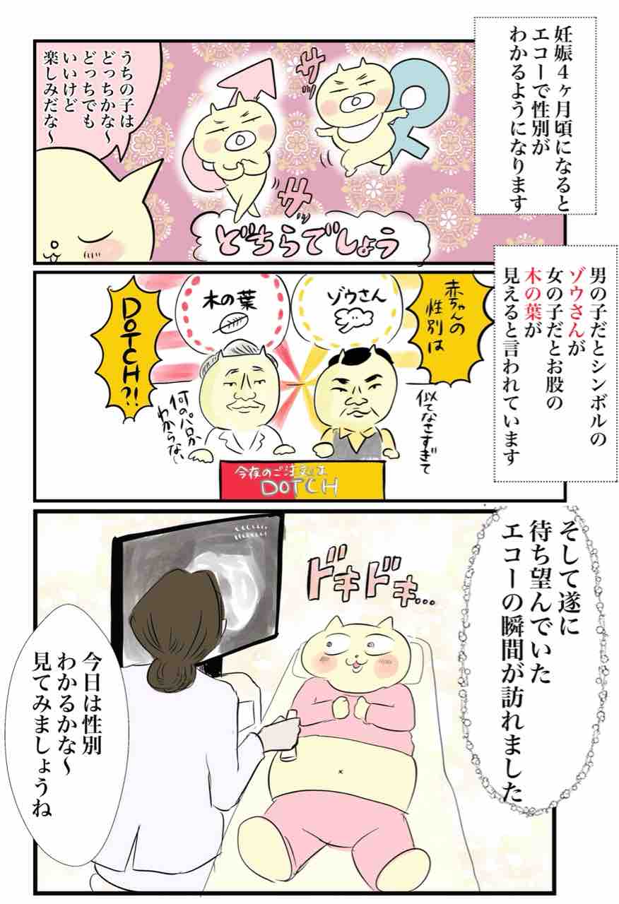 妊娠話シリーズ ついに赤ちゃんの性別判定 めちゃくちゃ驚いた話 テレビマン漫画家 真船佳奈のトラブルdays