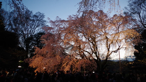 IMGP1201