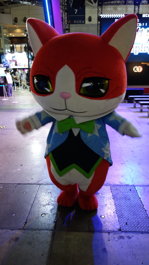 DSC00236