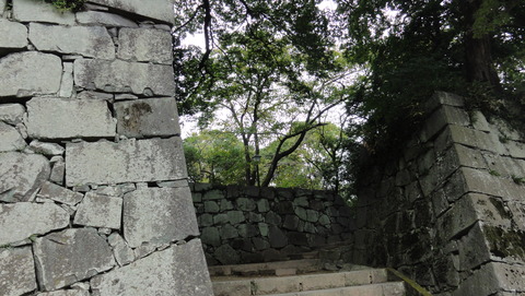 DSC01044