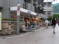 SANY2403