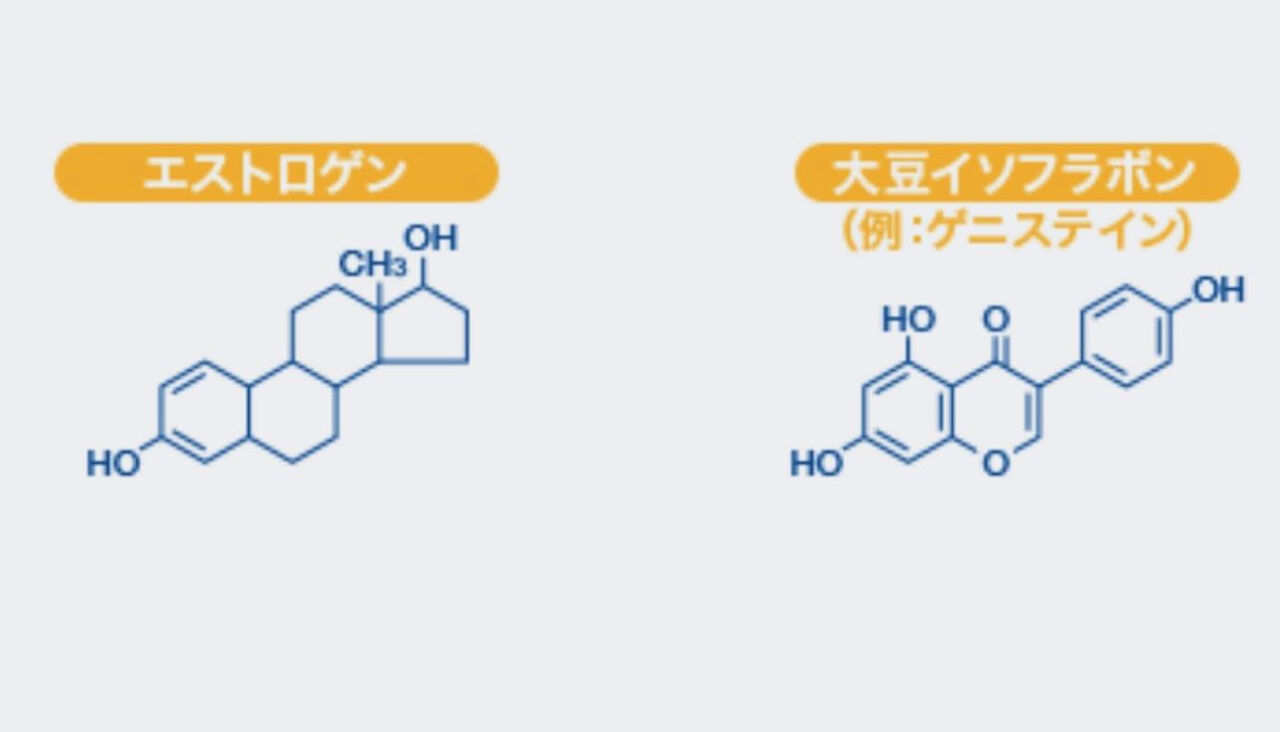 ORIGIN OF POWER  料理研究家 山瀬理恵子の日記
	  更年期世代
	コメント