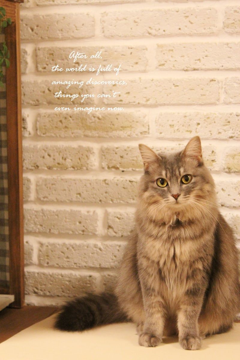 Smile! Happy! Sweet Home!