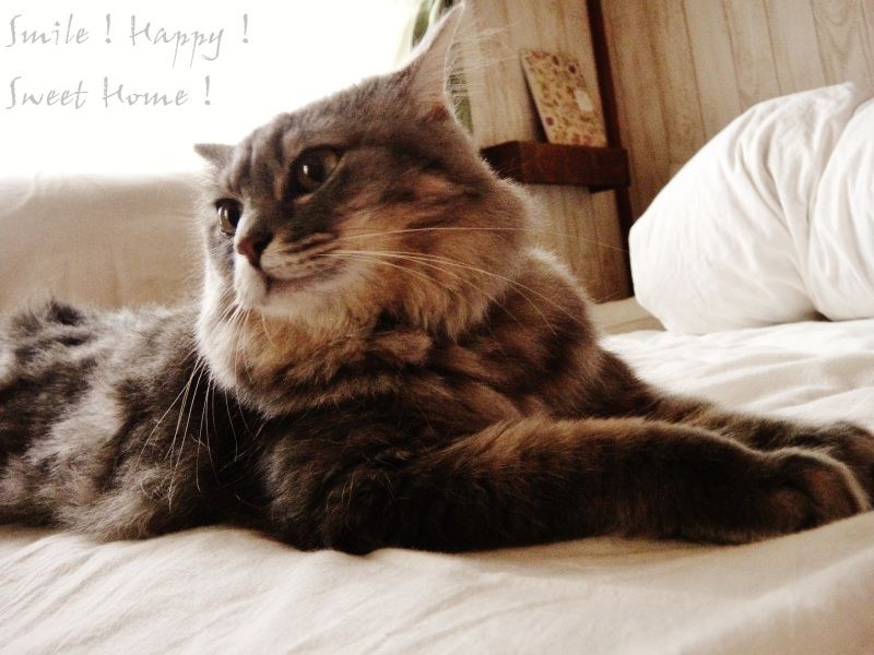 Smile! Happy! Sweet Home!